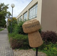 Pětina energie z vlastní střechy. Bohemia Sekt využívá slunce nejen pro dozrávání révy